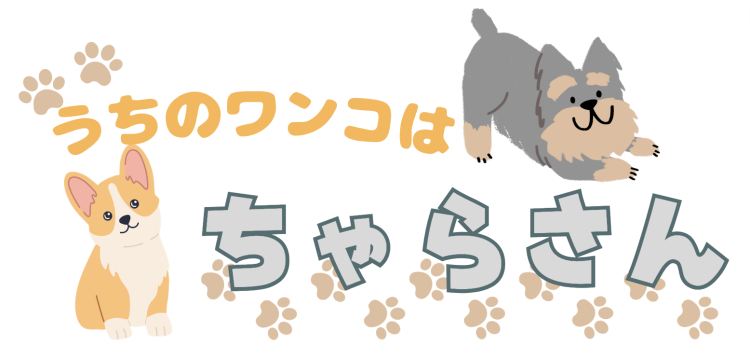 カワイイがいっぱい！ワンダーランド